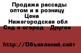 Продажа рассады оптом и в розницу › Цена ­ 15 - Нижегородская обл. Сад и огород » Другое   